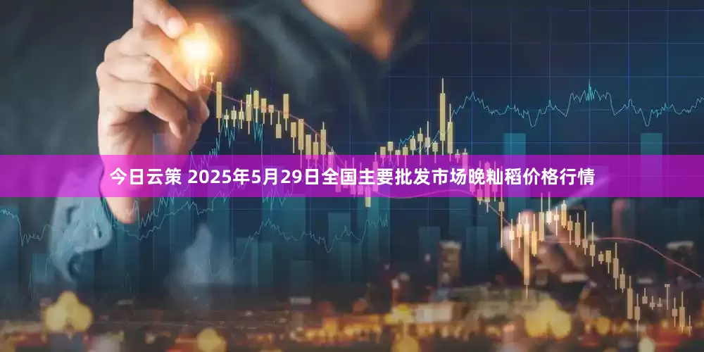 今日云策 2025年5月29日全国主要批发市场晚籼稻价格行情