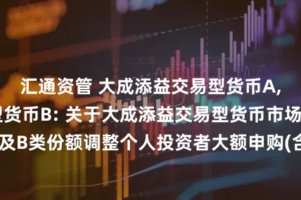 汇通资管 大成添益交易型货币A,大成添益交易型货币B: 关于大成添益交易型货币市场基金A类份额及B类份额调整个人投资者大额申购(含定期定额申购)及转换转入业务的公告