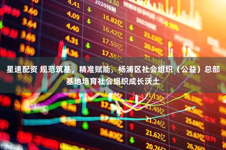 星速配资 规范筑基，精准赋能，杨浦区社会组织（公益）总部基地培育社会组织成长沃土